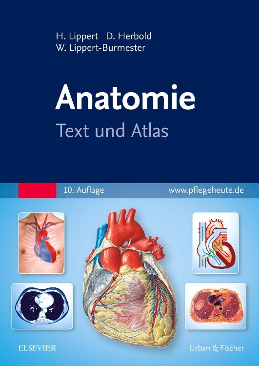 Produktbild: Anatomie | Herbert Lippert, Desiree Herbold, Wunna Lippert-Burmester