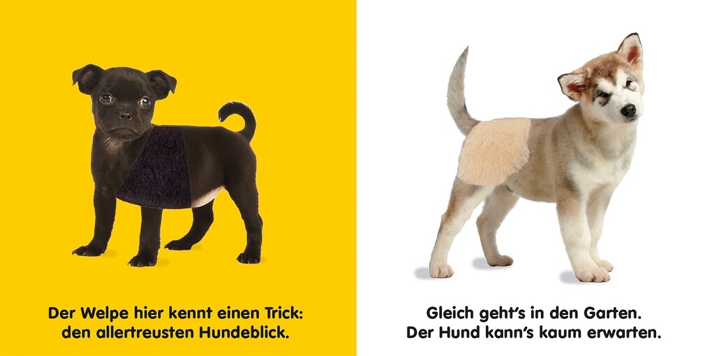 Weitere Ansicht: Mein Fühlbilderbuch. Hunde