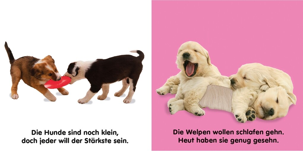 Weitere Ansicht: Mein Fühlbilderbuch. Hunde