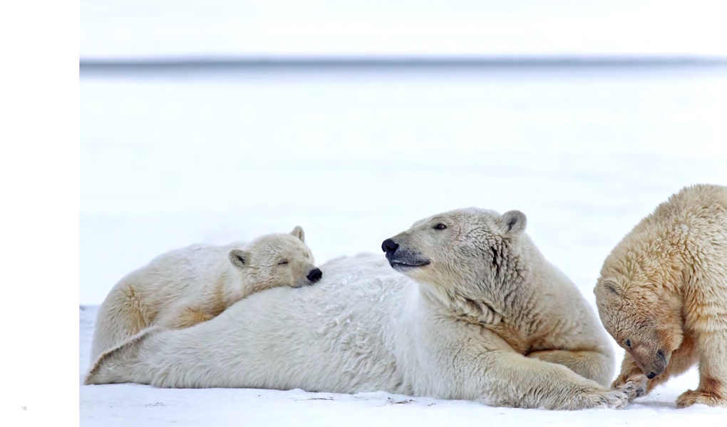 Weitere Ansicht: Im Bann des Nordens | Bernd Römmelt