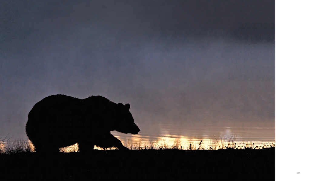 Weitere Ansicht: Im Bann des Nordens | Bernd Römmelt