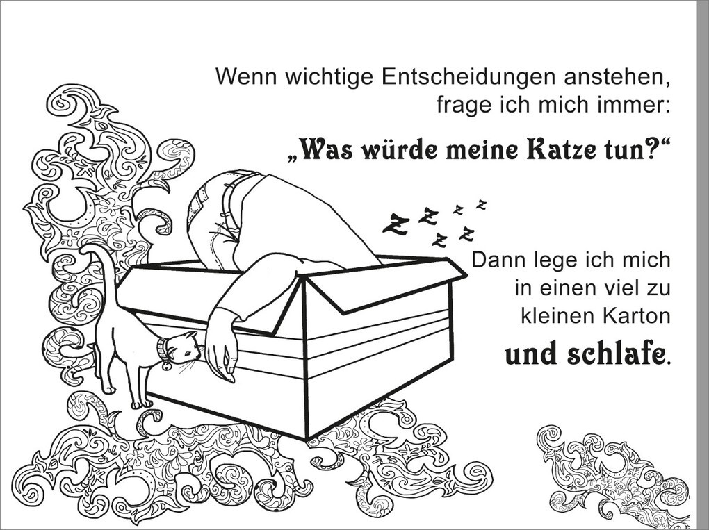 Weitere Ansicht: Freche Katzen