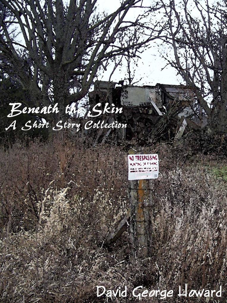 Produktbild: Beneath The Skin | David George Howard