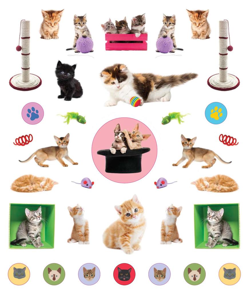 Weitere Ansicht: Eyelike Stickers: Kittens