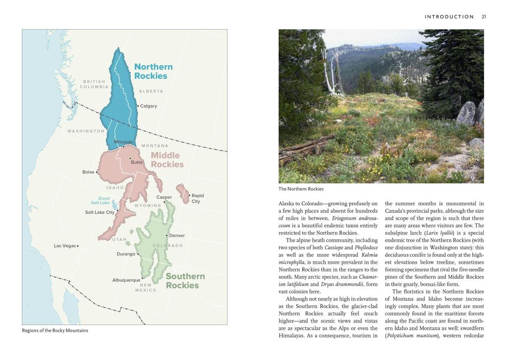 Weitere Ansicht: Wildflowers of the Rocky Mountain Region | Denver Botanic Gardens