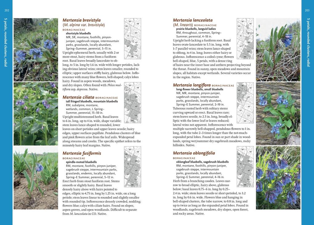 Weitere Ansicht: Wildflowers of the Rocky Mountain Region | Denver Botanic Gardens