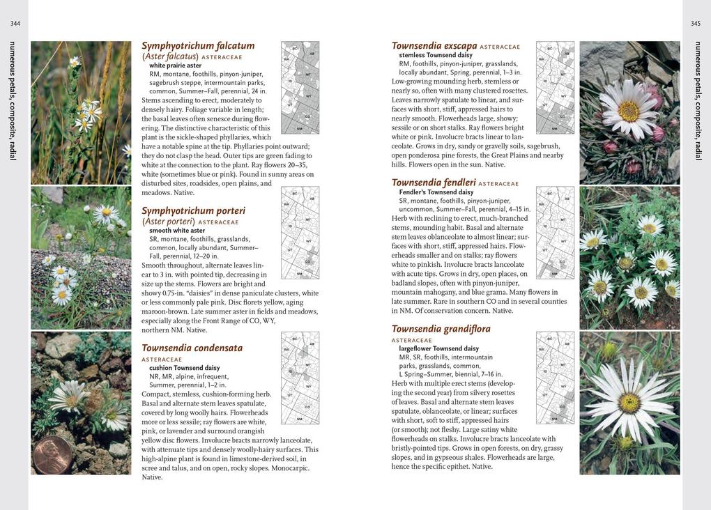 Weitere Ansicht: Wildflowers of the Rocky Mountain Region | Denver Botanic Gardens