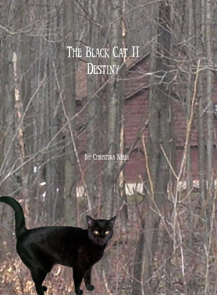 Produktbild: The Black Cat 2: Destiny | Christina Neely