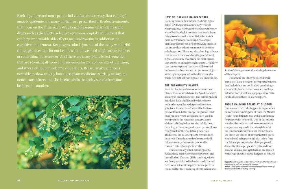Weitere Ansicht: Your Brain on Plants | Nicolette Perry, Elaine Perry