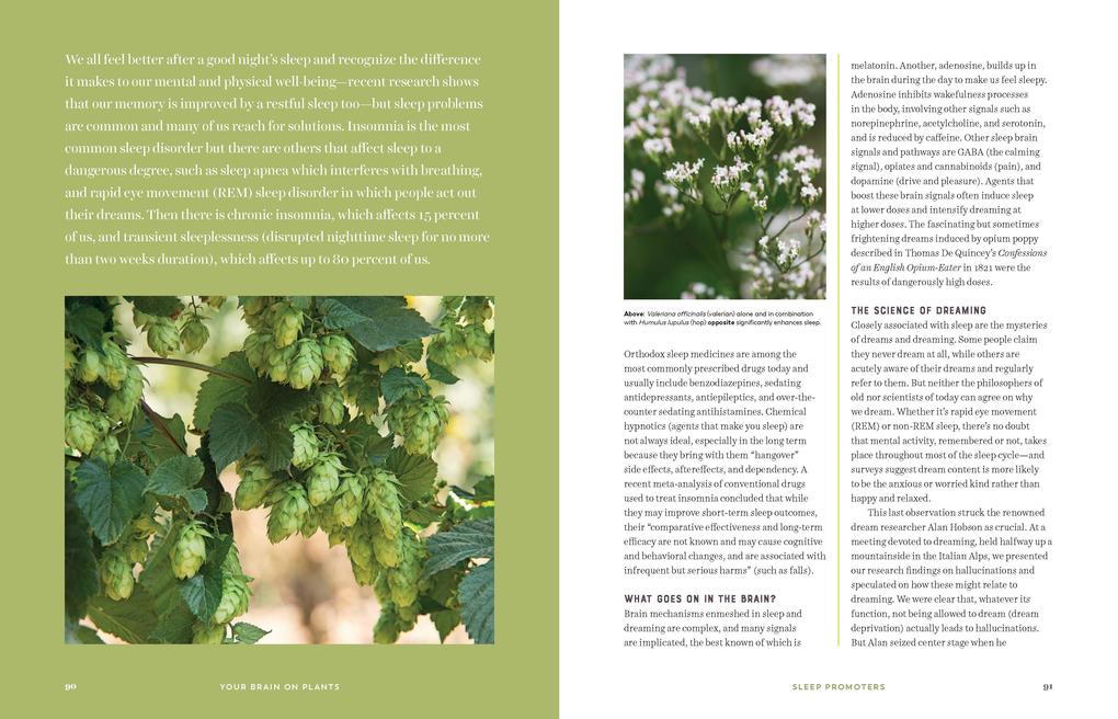 Weitere Ansicht: Your Brain on Plants | Nicolette Perry, Elaine Perry