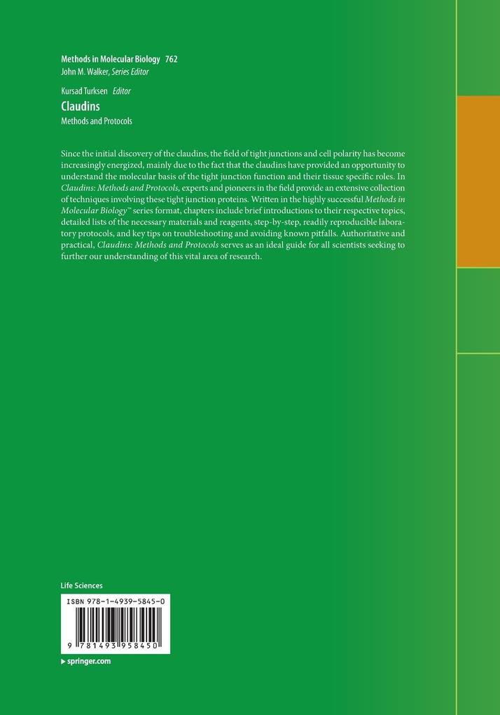 Weitere Ansicht: Claudins