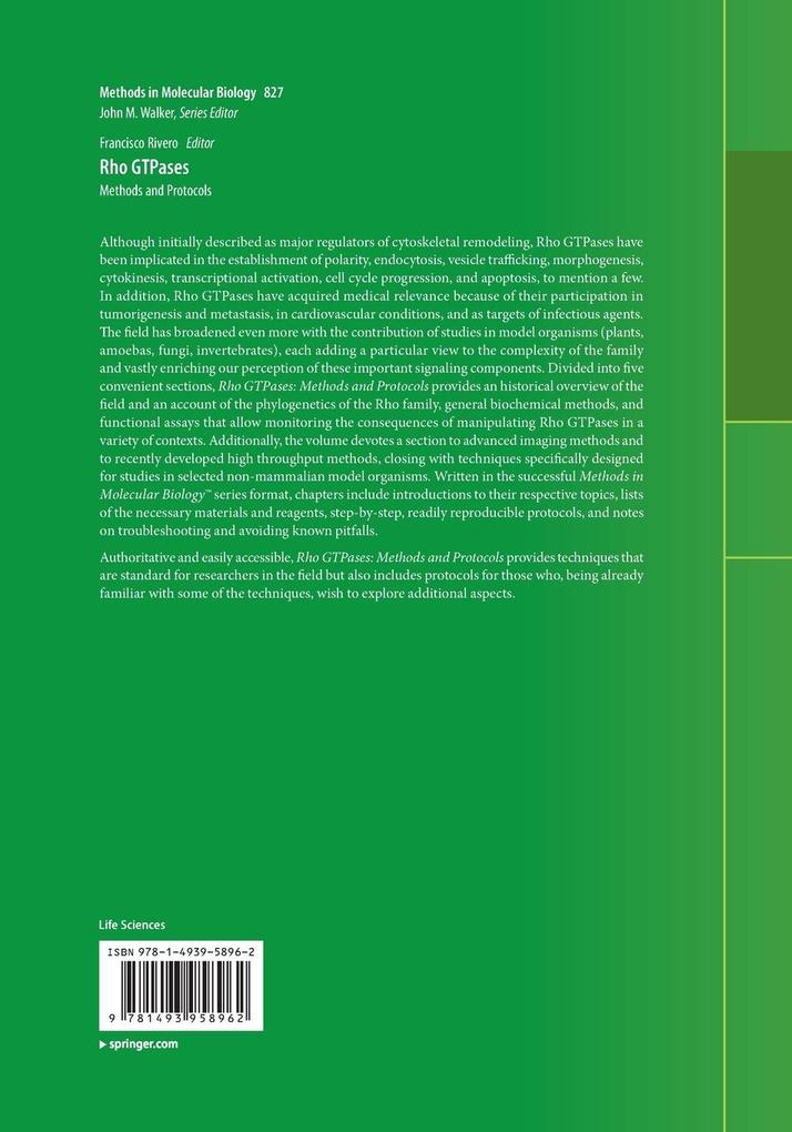 Weitere Ansicht: Rho GTPases