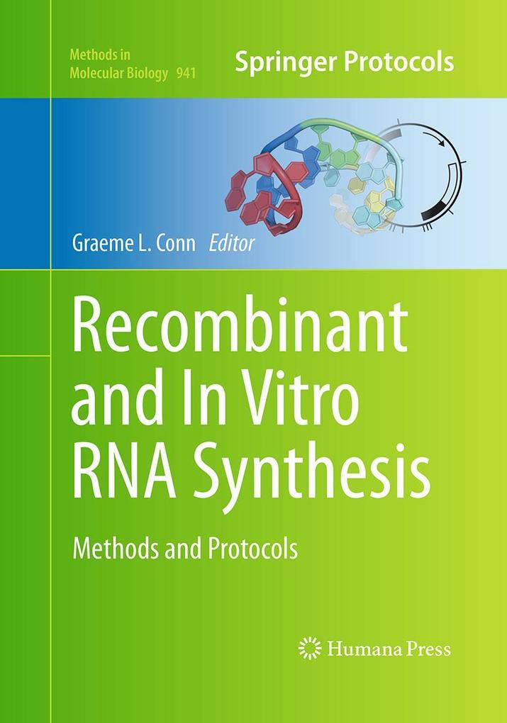 Produktbild: Recombinant and In Vitro RNA Synthesis