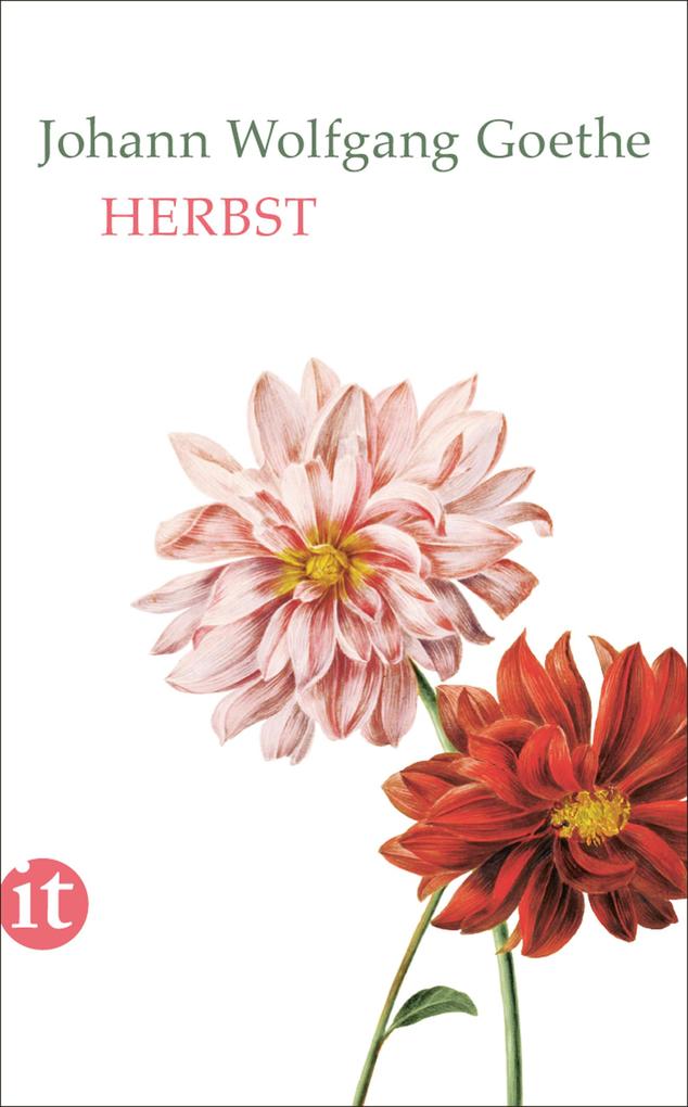 Produktbild: Herbst | Johann Wolfgang Goethe