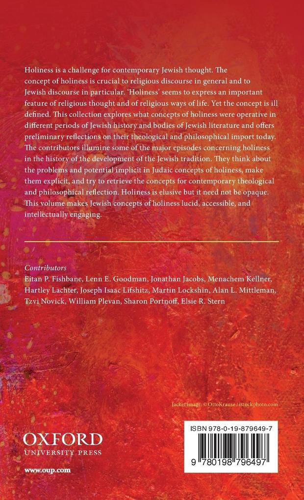 Weitere Ansicht: Holiness in Jewish Thought | Alan L Mittleman