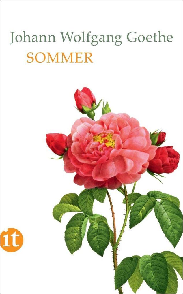 Produktbild: Sommer | Johann Wolfgang Goethe