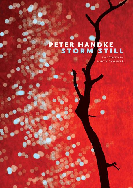 Produktbild: Storm Still | Peter Handke