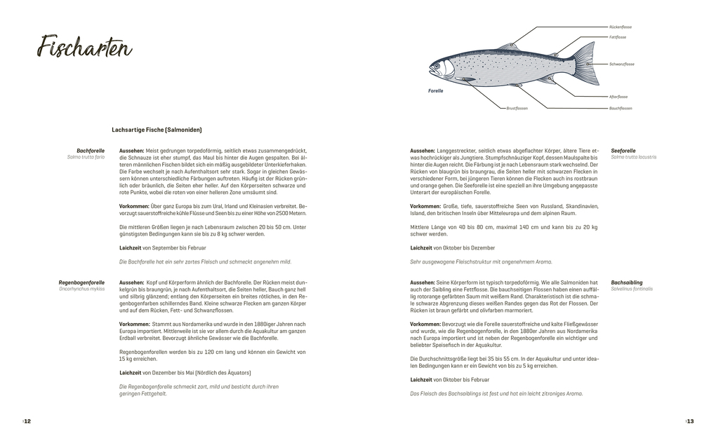 Weitere Ansicht: Fisch echt einfach | Angela Hirmann, Markus Moser