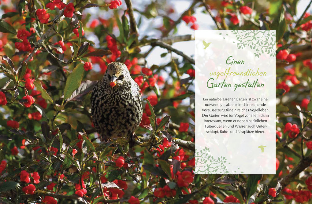 Weitere Ansicht: Mein vogelfreundlicher Garten | Ursula Kopp