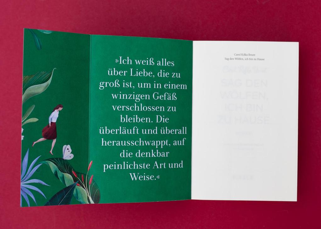 Weitere Ansicht: Sag den Wölfen, ich bin zu Hause | Carol Rifka Brunt