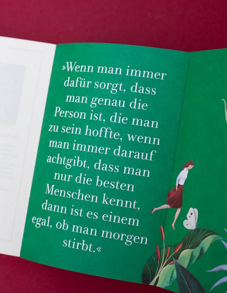 Weitere Ansicht: Sag den Wölfen, ich bin zu Hause | Carol Rifka Brunt