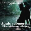 Aquis submersus - Eine Meistererzählung (Ungekürzt)