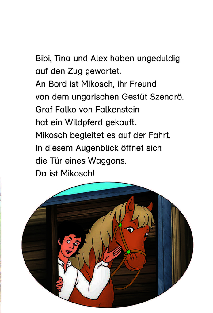 Weitere Ansicht: Bibi & Tina: Mikosch haut ab! | Vincent Andreas