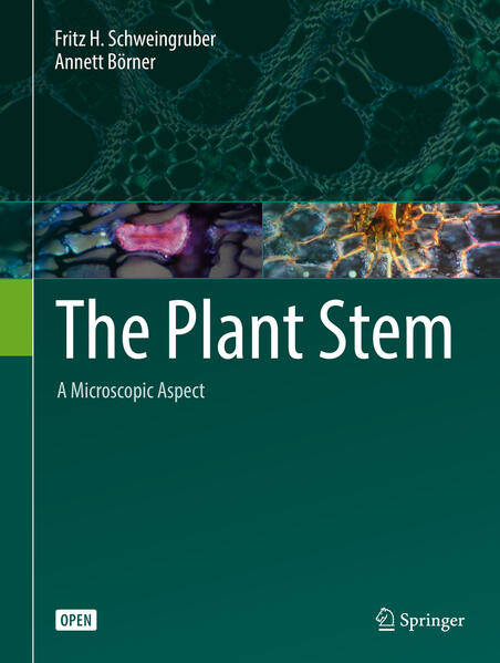 Produktbild: The Plant Stem | Fritz H. Schweingruber, Annett Börner