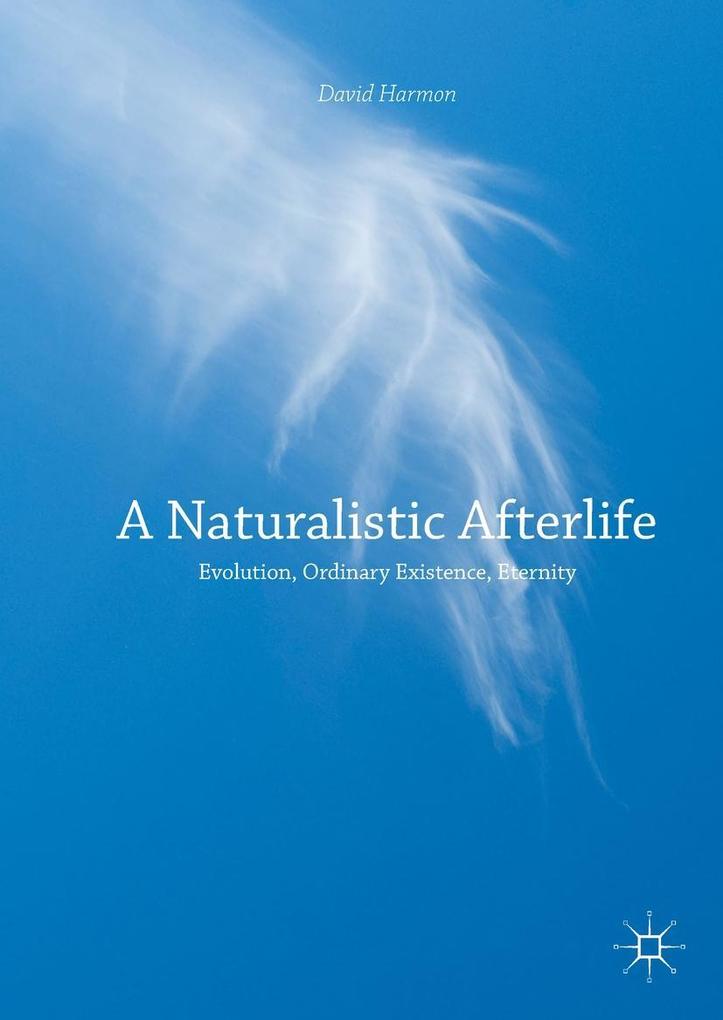 Produktbild: A Naturalistic Afterlife | David Harmon