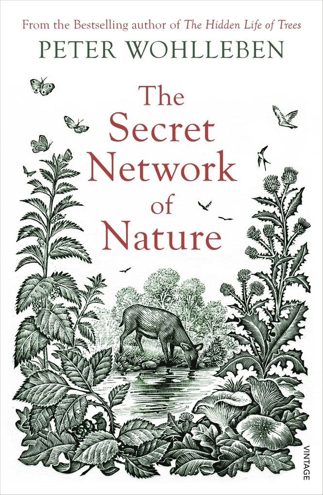 Produktbild: The Secret Network of Nature | Peter Wohlleben
