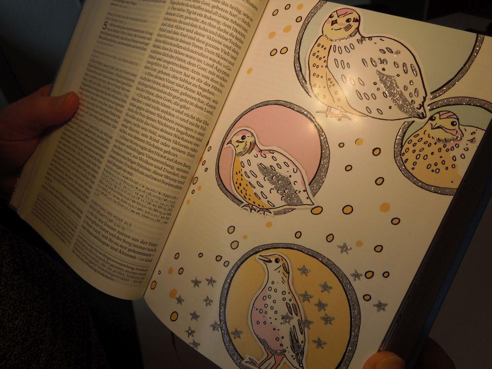 Weitere Ansicht: Die Bibel mit Bildern zu Wundern