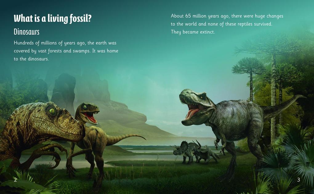 Weitere Ansicht: Living Fossils | Sally Morgan