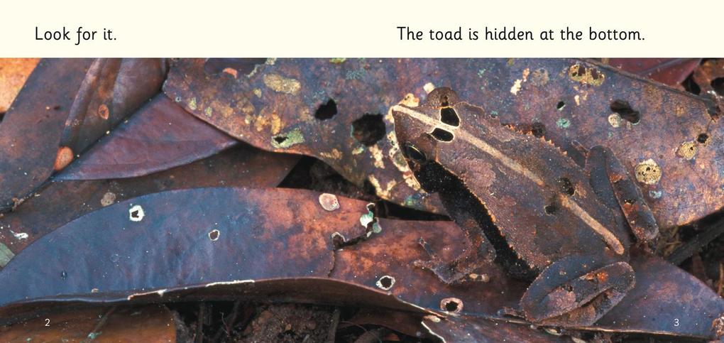 Weitere Ansicht: It is Hidden | Paul Harrison