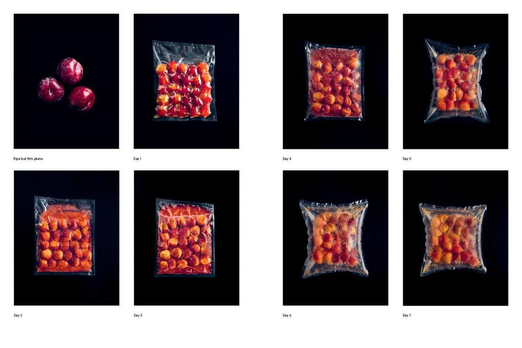 Weitere Ansicht: Foundations of Flavor: The Noma Guide to Fermentation | René Redzepi, David Zilber