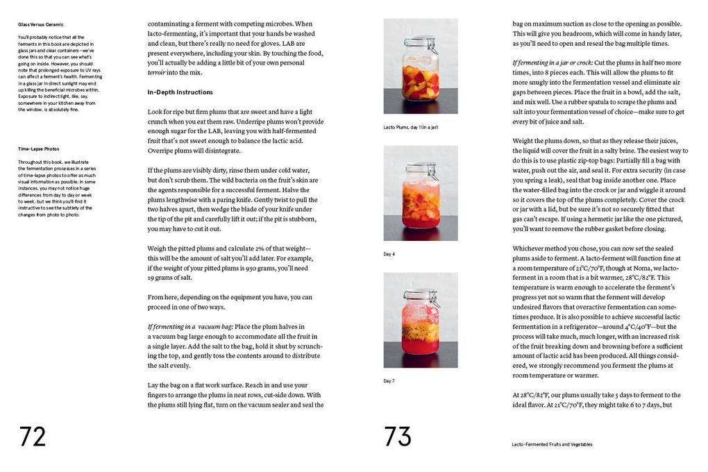 Weitere Ansicht: Foundations of Flavor: The Noma Guide to Fermentation | René Redzepi, David Zilber