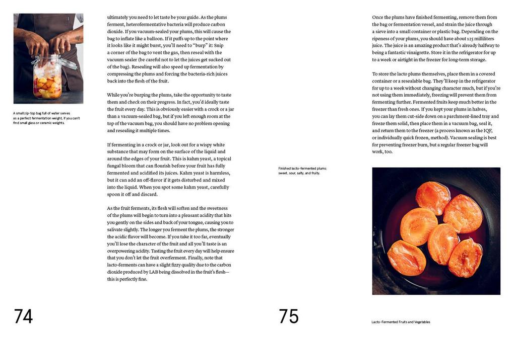 Weitere Ansicht: Foundations of Flavor: The Noma Guide to Fermentation | René Redzepi, David Zilber