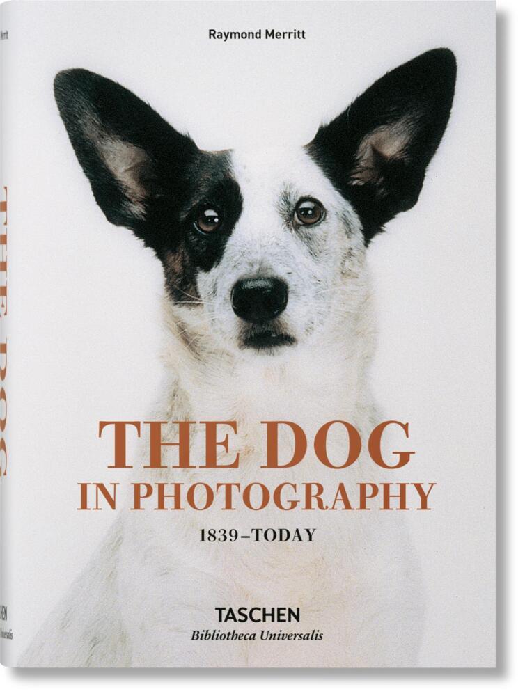 Produktbild: The Dog in Photography 1839-Today | Raymond Merritt