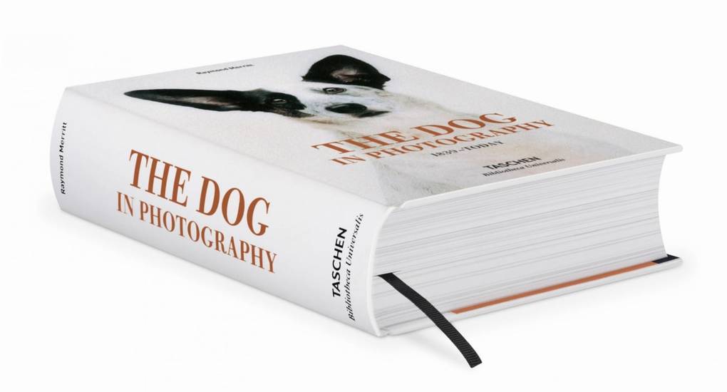 Weitere Ansicht: The Dog in Photography 1839-Today | Raymond Merritt