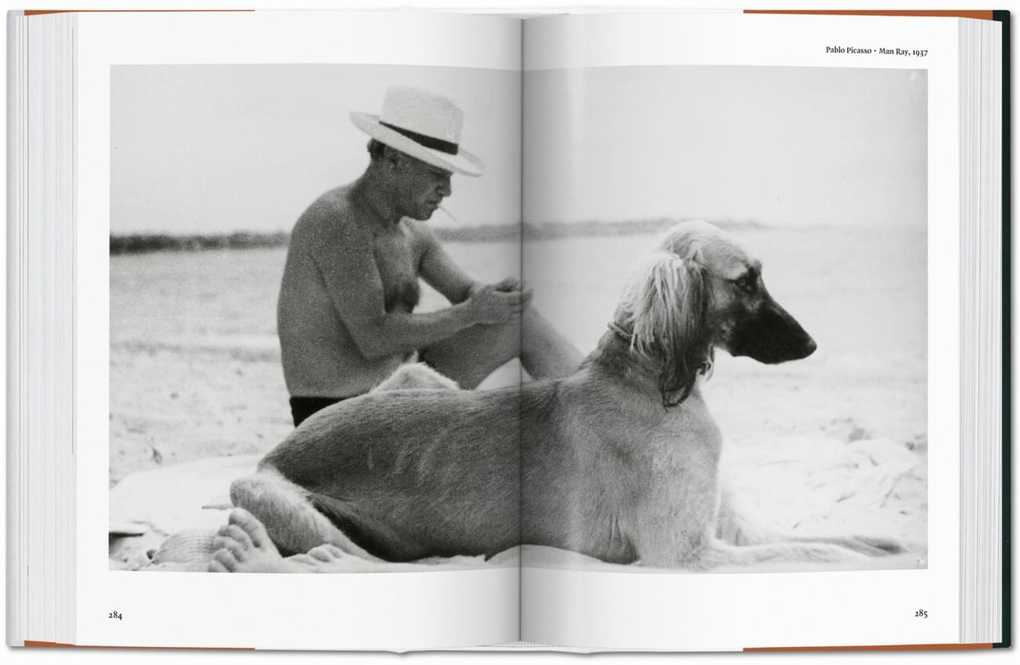 Weitere Ansicht: The Dog in Photography 1839-Today | Raymond Merritt