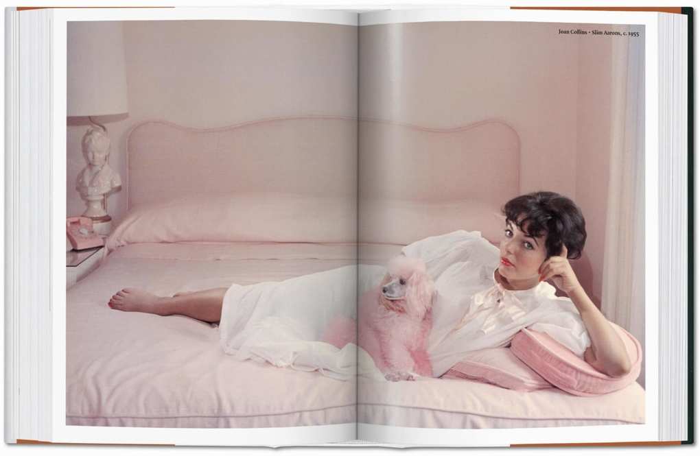Weitere Ansicht: The Dog in Photography 1839-Today | Raymond Merritt