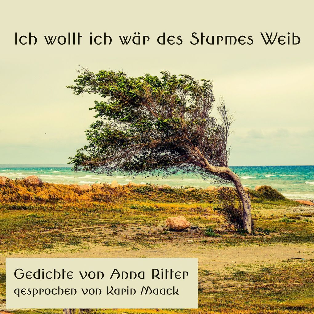 Produktbild: Ich wollt ich wär des Sturmes Weib | Anna Ritter
