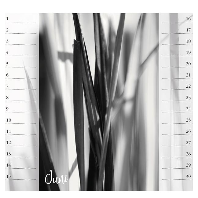 Weitere Ansicht: Bodensee. Immerwährender Geburtstags- und Tischkalender