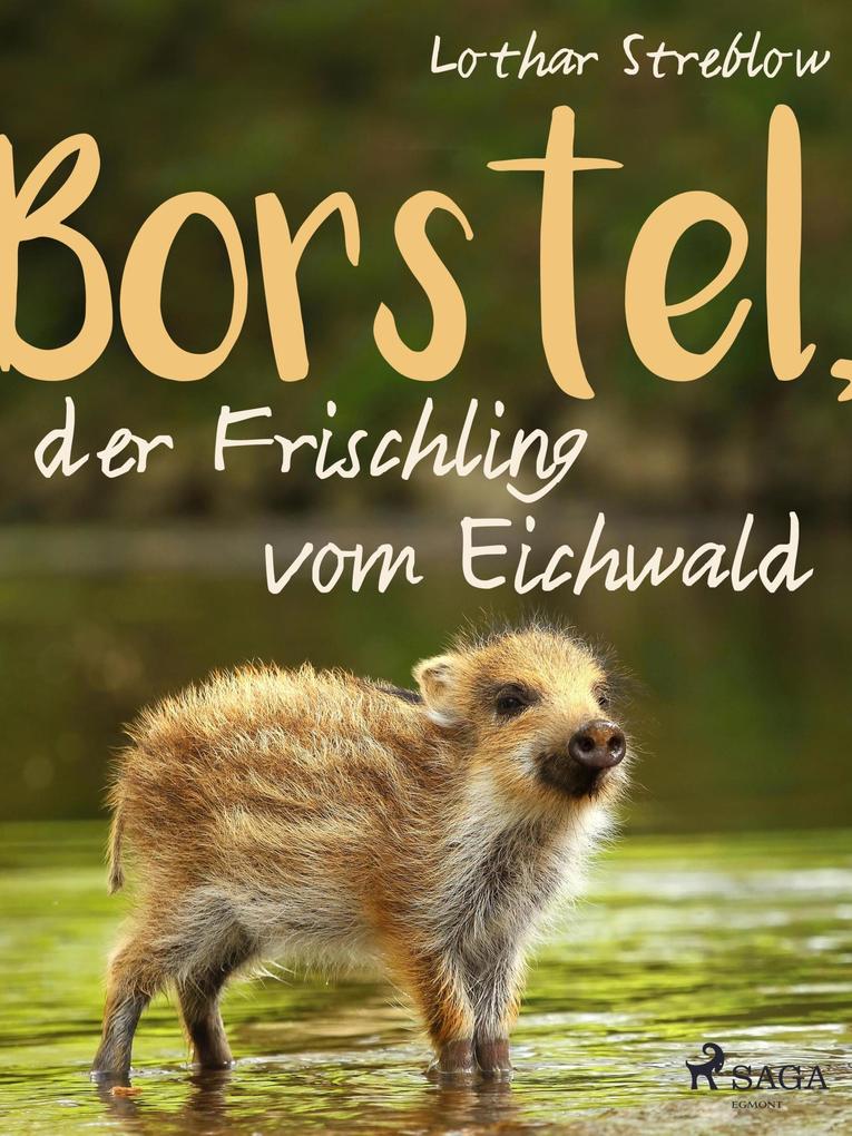 Produktbild: Borstel, der Frischling vom Eichwald | Lothar Streblow