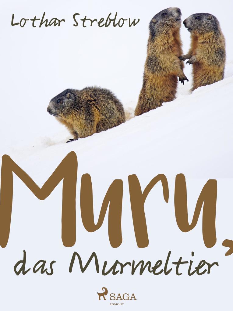 Produktbild: Murru, das Murmeltier | Lothar Streblow