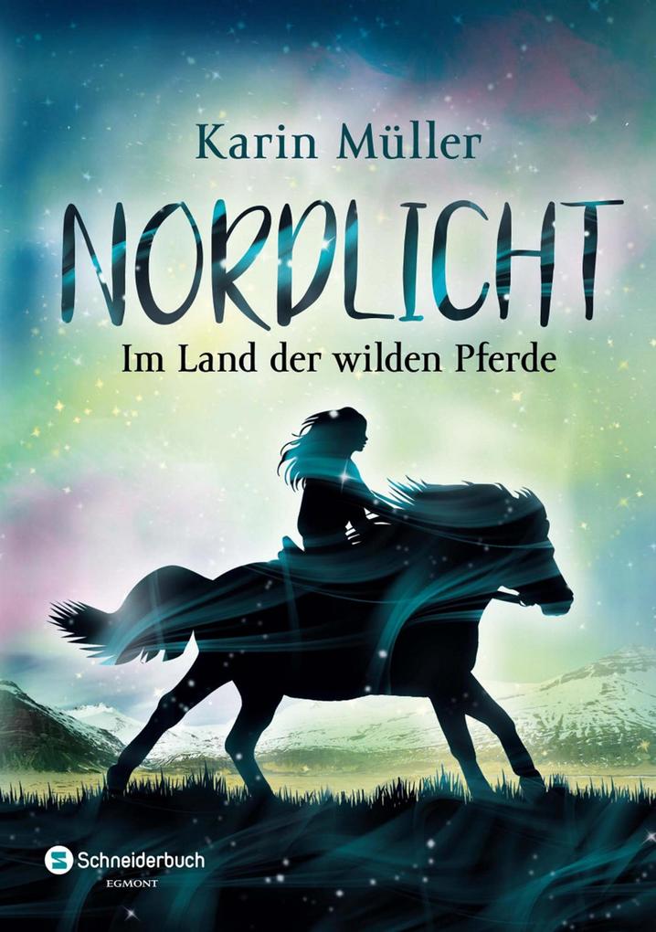 Produktbild: Nordlicht, Band 01 | Karin Müller