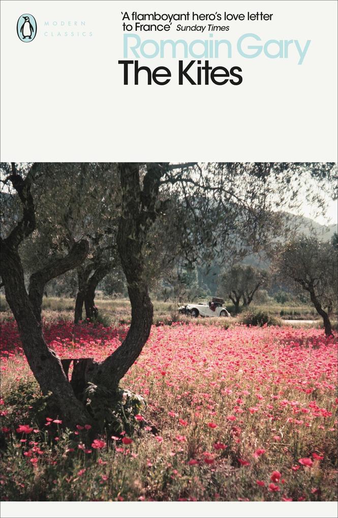 Produktbild: The Kites | Romain Gary