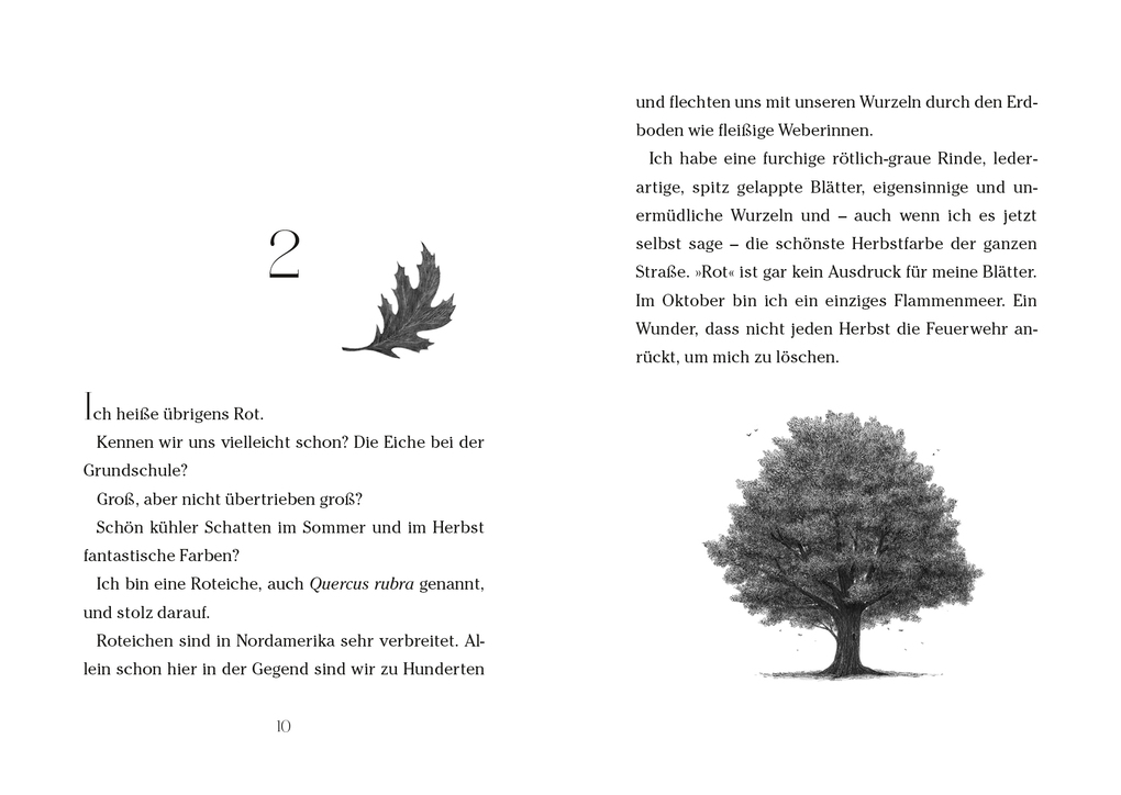 Weitere Ansicht: Baum der Wünsche | Katherine Applegate
