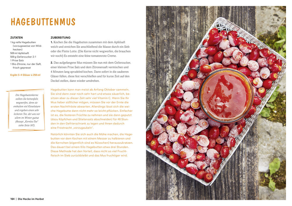 Weitere Ansicht: Heimat im Glas | Daniela Wattenbach