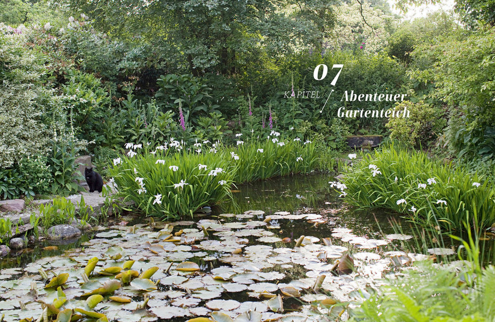 Weitere Ansicht: Ein Garten ist niemals fertig | Manfred Lucenz, Klaus Bender