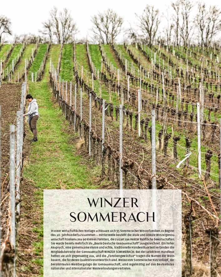 Weitere Ansicht: Die Weinmacher | Stefan Bausewein, Julia Schuller